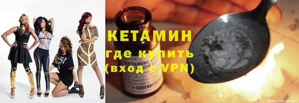 прущие грибы Волоколамск