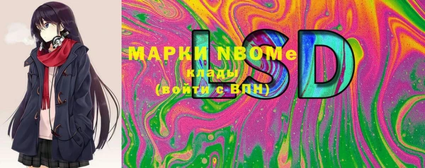 прущие грибы Волоколамск
