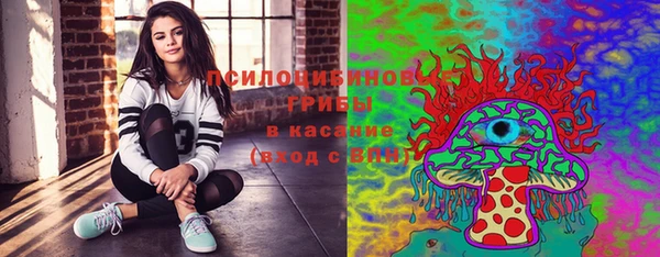 прущий лед Верея