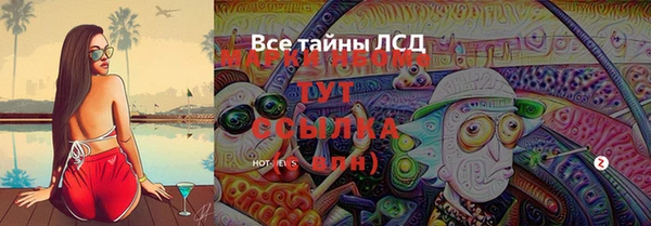 дживик Володарск
