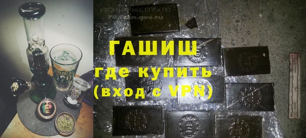 прущие грибы Волоколамск